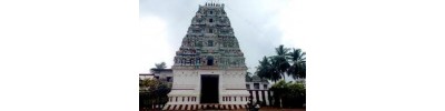 164. திருப்பரிதிநியமம்